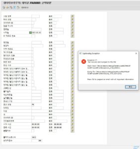 SE16 실행오류.jpg